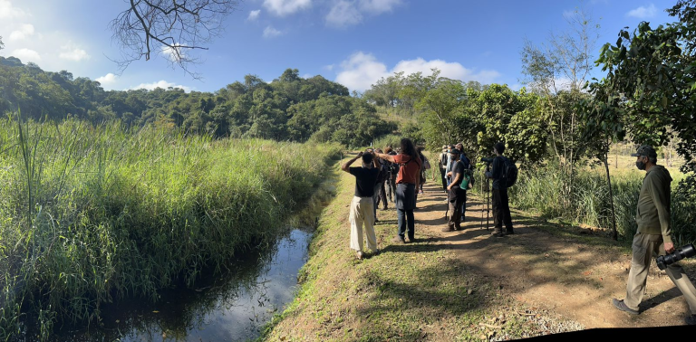 vempassarinhar4 768x378