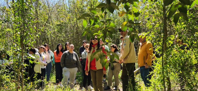 20230925 125156 768x355