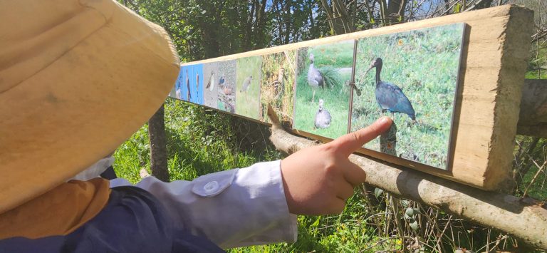 20230929 095918 768x355