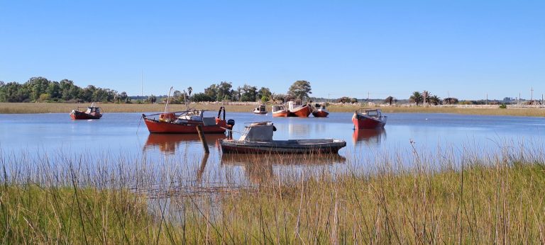 Humedal Sgo. Vazquez 768x346