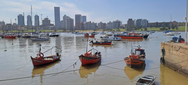 Puertito Buceo 1 768x346