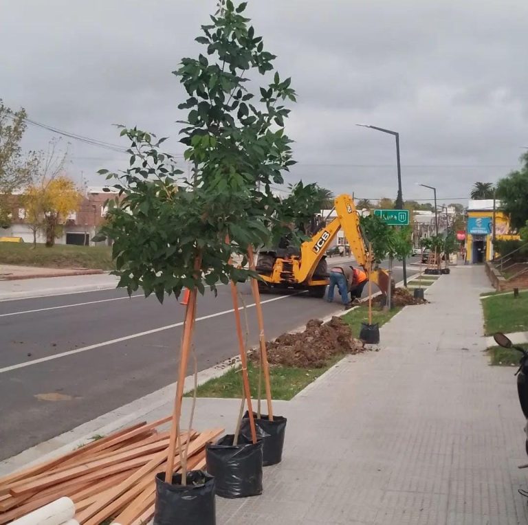 WhatsApp Image 2024 09 29 at 17.03.28 768x764