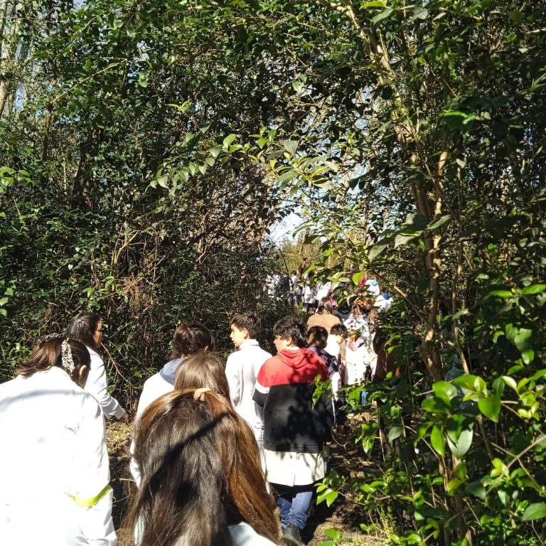 WhatsApp Image 2024 09 30 at 10.56.28 1 768x768