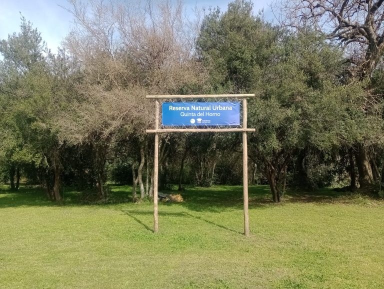 WhatsApp Image 2024 09 30 at 10.56.28 768x578