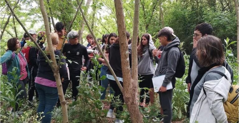 WhatsApp Image 2024 09 30 at 10.56.29 768x395