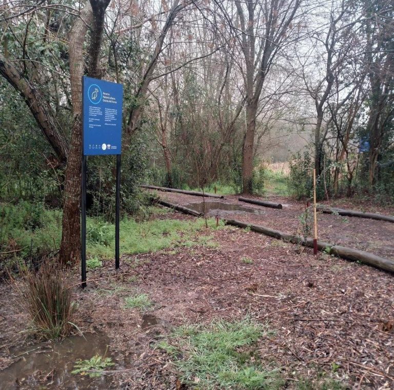 WhatsApp Image 2024 09 30 at 10.56.30 768x760